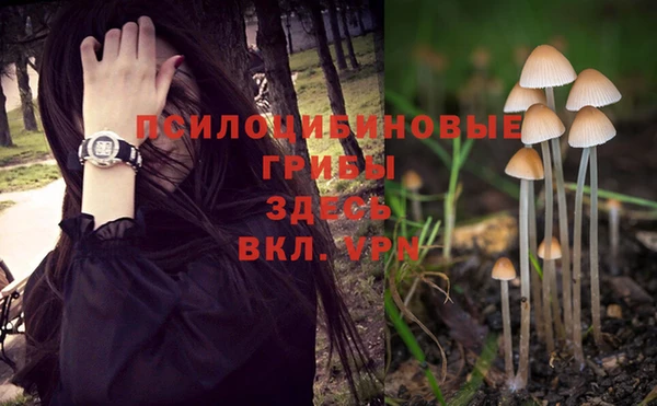 твердый Абаза