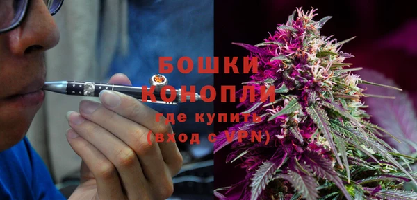 винт Лабытнанги
