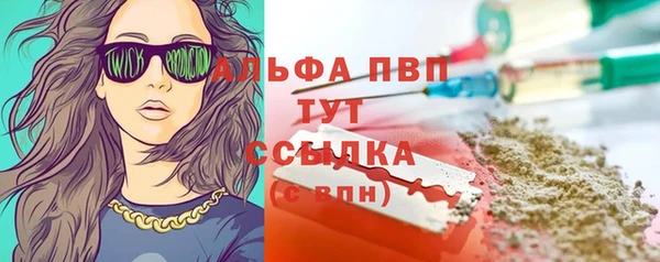 твердый Абаза