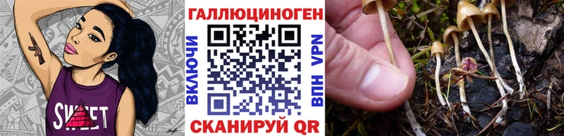 мега сайт  Адыгейск  Галлюциногенные грибы мухоморы 
